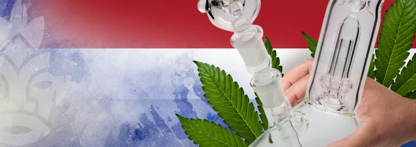 Weed-Friendly Countries: Netherlands